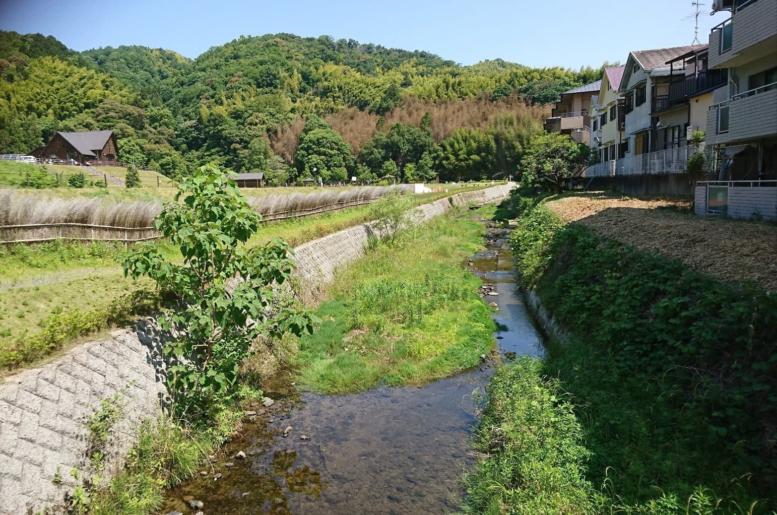 京都府長岡京市認知症対応型共同生活介護グループホームだいのじ隣公園川風景