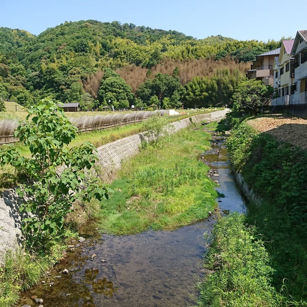 京都府長岡京市の認知症対応型共同生活介護グループホームだいのじの隣西代里山公園風景